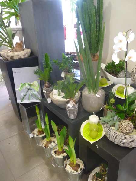 P1050796